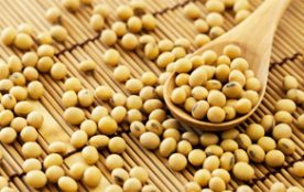 product-soybean